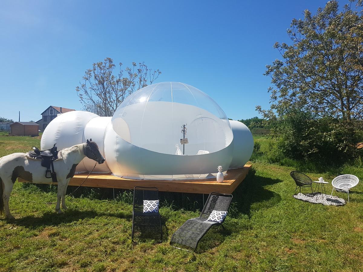 Coachella Pensionat Lanouaille Eksteriør billede