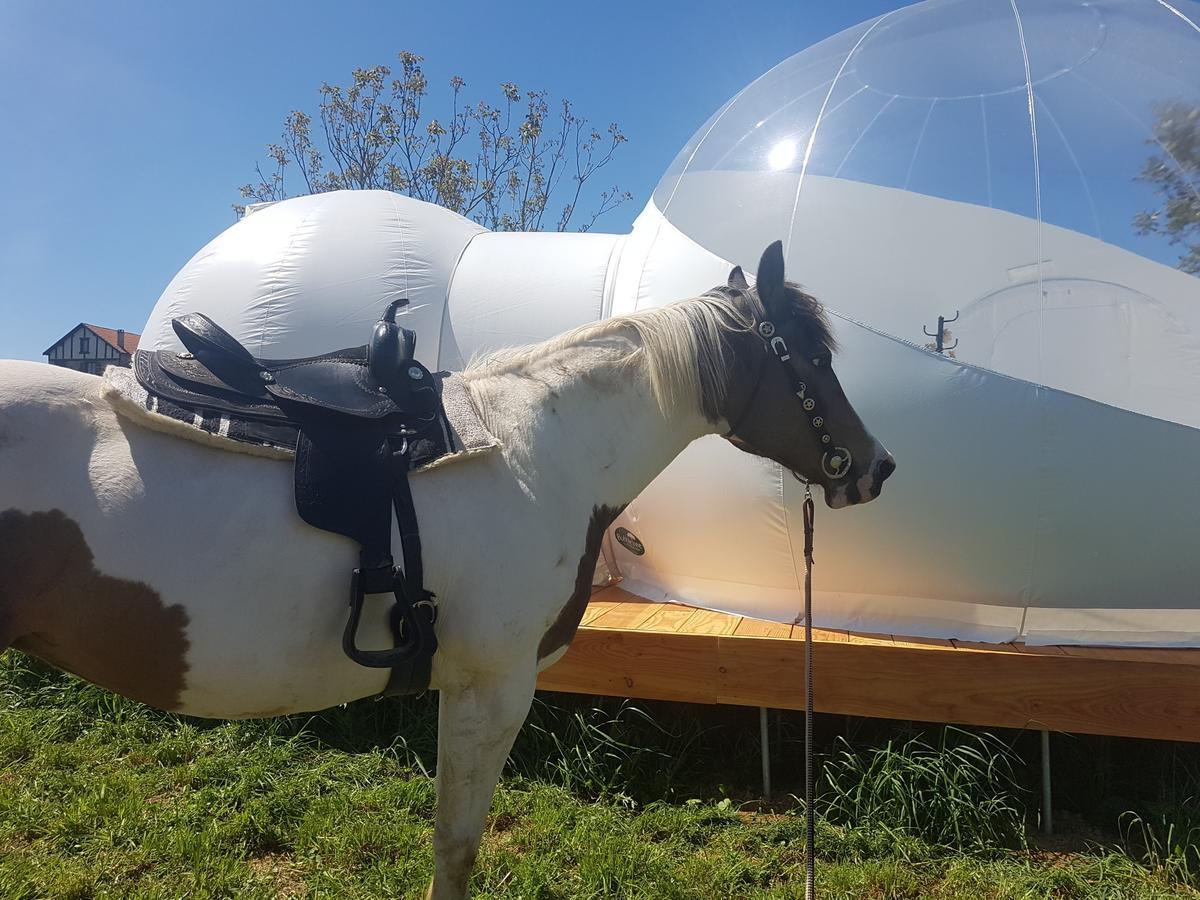 Coachella Pensionat Lanouaille Eksteriør billede